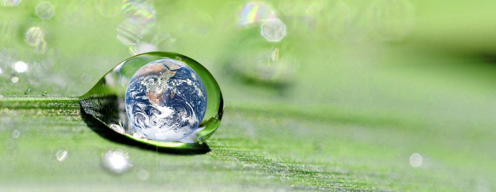 the world in a drop of water resting on a leaf