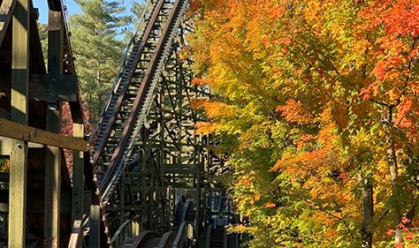 Fall Weekends