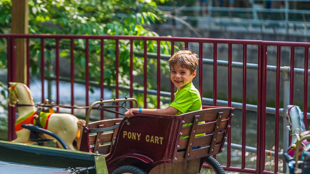 Pony Carts