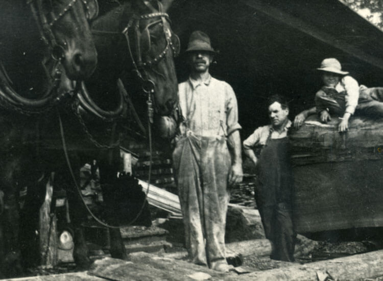 1828 - Peggy_s Farm purchased Family enters Sawmill business