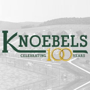 Celebrating 100 Years