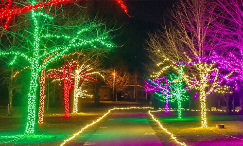 Joy Through the Grove