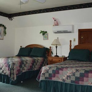 Latorre House - Birds of Paradise Room