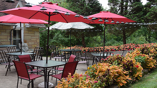 Latorre House - Back Patio