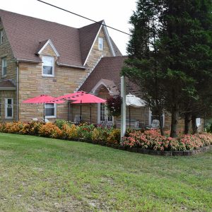 Latorre House - Backyard