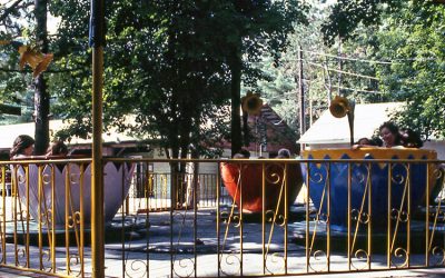 1986 - Tea Cups
