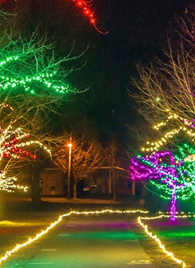 2020 - Joy through the grove
