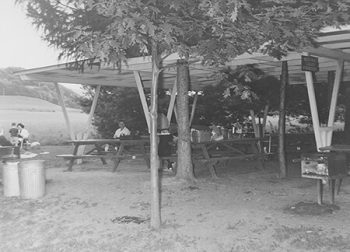 Groups - Plan Your Picnic